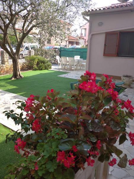 Apartments Obelix Pula Dış mekan fotoğraf